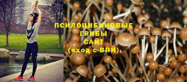 прущая мука Бугульма