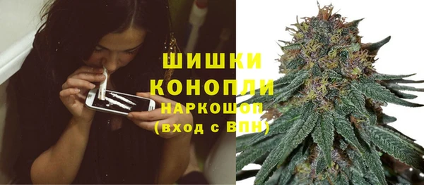 марки lsd Бородино