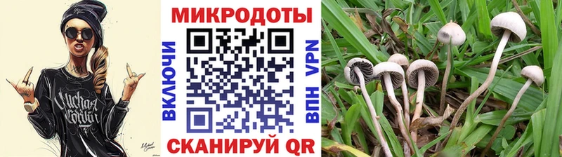 Псилоцибиновые грибы MAGIC MUSHROOMS  Карпинск 